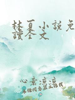 林夏小说免费阅读全文