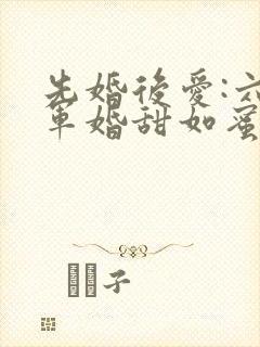 先婚后爱:六零军婚甜如蜜免费阅读全文