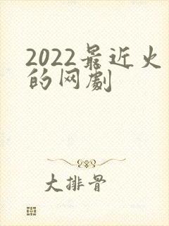 2022最近火的网剧