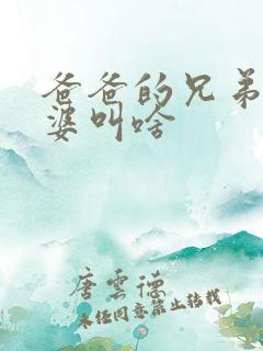 爸爸的兄弟的老婆叫啥