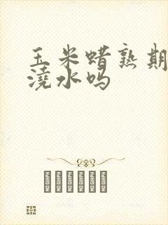 玉米蜡熟期还用浇水吗