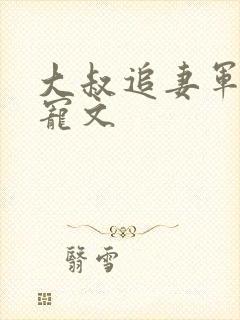 大叔追妻军婚甜宠文