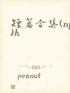 短篇合集(np)h