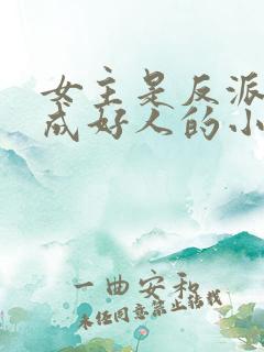 女主是反派却装成好人的小说