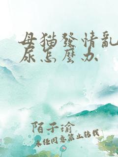 母猫发情乱拉乱尿怎么办