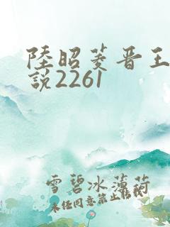 陆昭菱晋王的小说2261