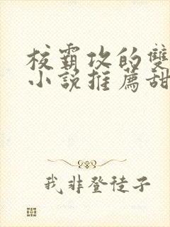 校霸攻的双男主小说推荐甜文