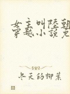 女主叫陆朝朝的穿越小说免费阅读