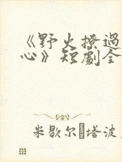《野火撩过姐姐心》短剧全集