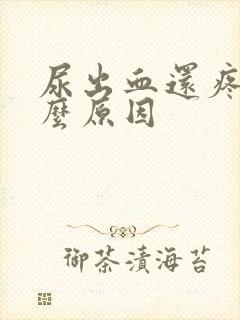 尿出血还疼是什么原因