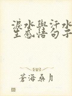 泪水与汗水的人生感悟句子