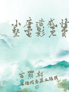 小唐璜感情史完整电影免费观看高清