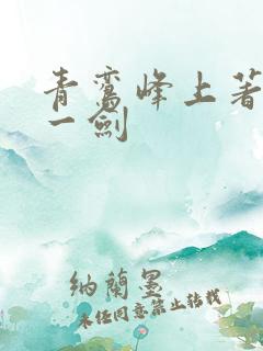 青鸾峰上著我有一剑