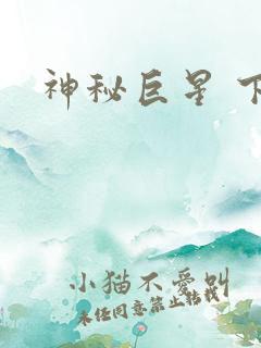神秘巨星 下载