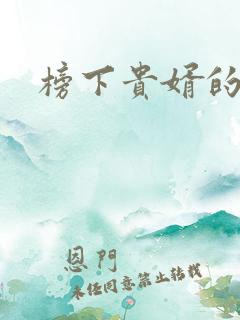 榜下贵婿的小说