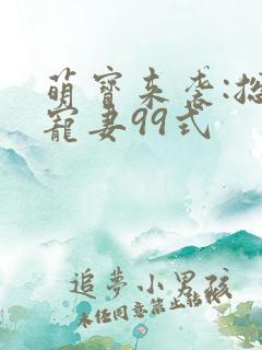 萌宝来袭:总裁宠妻99式