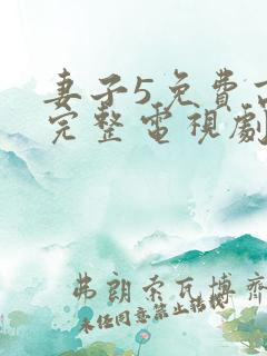 妻子5免费高清完整电视剧情年轻母亲