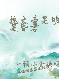 魏文帝是明君还是昏君
