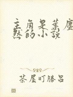 主角是叶尘纪欣然的小说