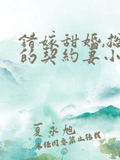 错嫁甜婚,总裁的契约妻小说 错嫁甜婚,总裁的契约妻小说