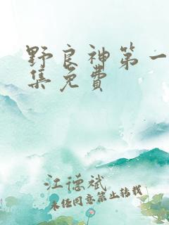 野良神第一季全集免费
