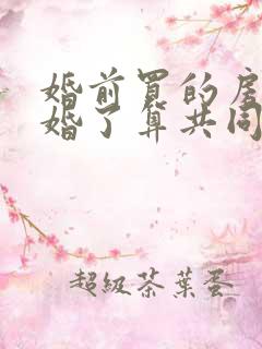 婚前买的房子离婚了算共同财产吗