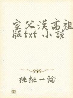 家父汉高祖精校版txt 小说