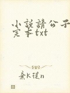 小说请公子斩妖完本txt