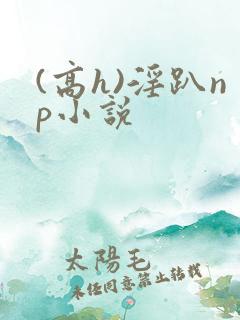 (高h)淫趴np小说