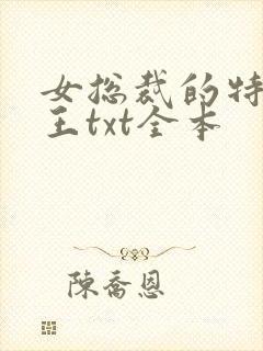 女总裁的特战兵王txt全本