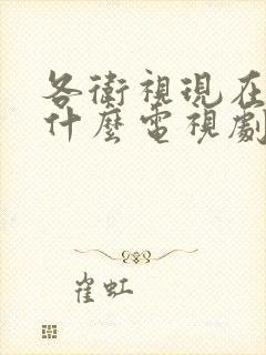 各卫视现在演的什么电视剧