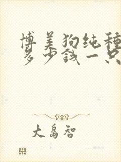 博美狗纯种大概多少钱一只