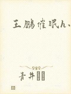 王鹏催眠h小说