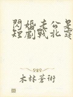 闪婚老公是豪门短剧战北霆 闪婚老公是豪门短剧战北霆