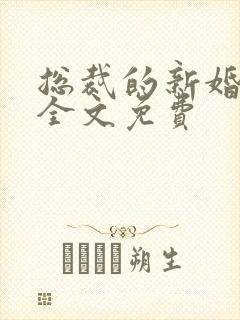 总裁的新婚罪妻全文免费