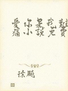 爱你是我难言的痛小说免费阅读