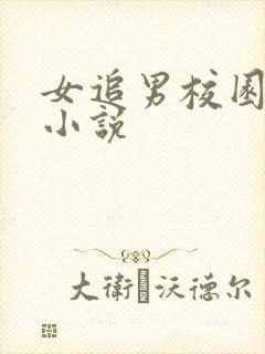 女追男校园言情小说