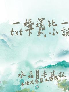 一婚还比一婚高txt下载小说