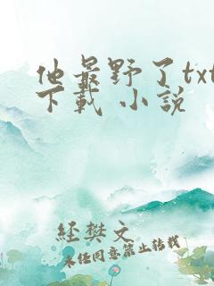 他最野了txt下载 小说