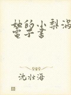 她的小梨涡小说电子书