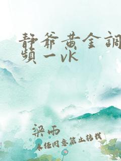 静爷黄金调教视频一vk