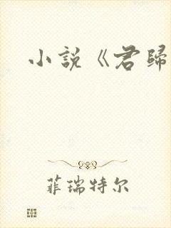 小说《君归矣》 小说《君归矣》