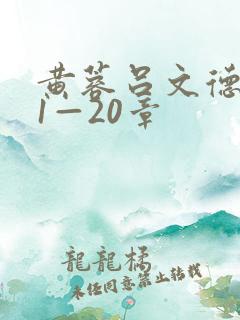 黄蓉吕文德秘史1—20章