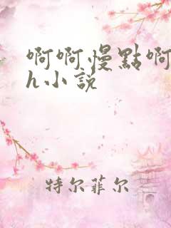 啊啊慢点啊啊啊h小说
