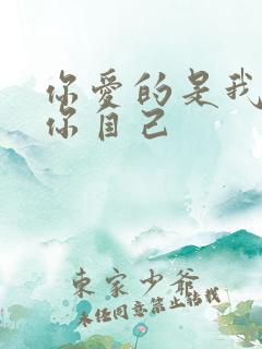 你爱的是我还是你自己
