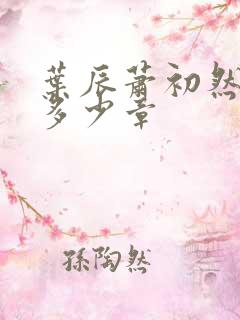 叶辰萧初然一共多少章