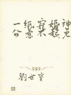 一纸宠婚神秘老公惹不起免费阅读