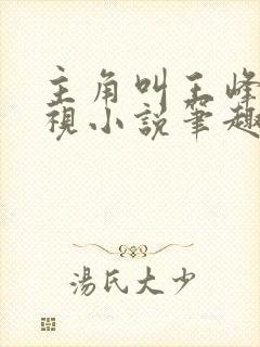 主角叫王峰的透视小说笔趣阁