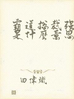 霸道总裁强制爱是什么意思