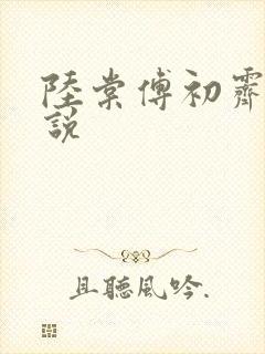 陆棠傅初霁的小说
